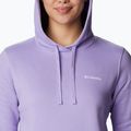 Columbia Trek Graphic Hooded Purple Moteriški džemperiai 1959881 3