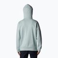 Columbia Trek Hoodie vyriški trekingo džemperiai pilka 1957913 2