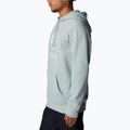 Columbia Trek Hoodie vyriški trekingo džemperiai pilka 1957913 4