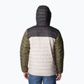 Vyriška pūkinė striukė Columbia Powder Lite su gobtuvu dark stone/shark/stone green 3