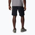 Vyriški žygio šortai Columbia Silver Ridge Utility black 2