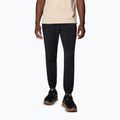 Vyriškos žygio kelnės Columbia Hike Jogger II black