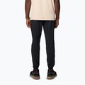 Vyriškos žygio kelnės Columbia Hike Jogger II black 2