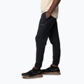 Vyriškos žygio kelnės Columbia Hike Jogger II black 3