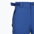 Vyriškos slidinėjimo kelnės Columbia Powder Stash II mountain blue / black 12