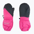 Vaikiškos slidininkų pirštinės Columbia Chippewa II Long pink ice / black