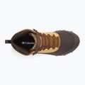 Columbia Expeditionist Shield V2 curry/light brown vyriški batai 13