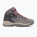 Moteriški žygio batai Columbia Newton Ridge Plus Wp Amped stratus/canyon rose 10