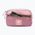 Rankinė ant juosmens Columbia Trail Traveler Hip eraser pink/fig/lemon wash 4