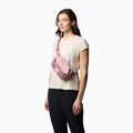 Rankinė ant juosmens Columbia Trail Traveler Hip eraser pink/fig/lemon wash 5