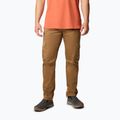 Vyriškos žygio kelnės Columbia Landroamer Twill Cargo delta