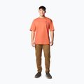 Vyriškos žygio kelnės Columbia Landroamer Twill Cargo delta 2