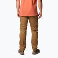 Vyriškos žygio kelnės Columbia Landroamer Twill Cargo delta 3