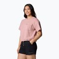 Moteriški marškinėliai Columbia Granite Point Knit eraser pink 4