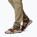 Vyriškos basutės Columbia Peakfreak Rush cordovan pebble 8