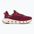 Moteriški turistiniai batai Columbia Drainmaker Xtr chianti/dusty crimson 2