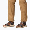 Vyriški sandalai Columbia Konos Hiker 2-Strap shark/ancient fossil 8