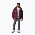 Vyriška pašiltinta striukė Columbia Pike Lake II Hooded rich wine/black 2
