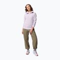 Moteriškas flisinis džemperis Columbia Glacial IV 1/2 Zip lavender pearl 2