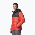 Vyriška striukė Columbia Powder Lite II Hooded zing/shark 4
