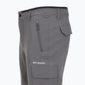 Vyriškos žygio kelnės Columbia Tech Trail Utility Winter city grey 13