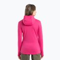 Icebreaker moteriška trekingo striukė Quantum III Zip Hood tempo/electron pink/cb 2