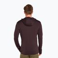 Vyriškas žygio džemperis icebreaker Merino 260 Quantum IV Zip Hoodie bittersweet 3