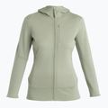 Moteriškas žygio džemperis icebreaker Merino 260 Quantum IV Zip Hoodie lichen 7