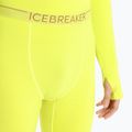 Vyriškos Icebreaker Merino shine termo kelnės 4