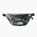 Rankinė ant juosmens The North Face Jester Lumbar deep green grass printed camo/asphalt grey 7