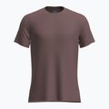 Vyriški žygio marškinėliai icebreaker Merino 125 Cool-Lite Sphere III SS Tee carob heather