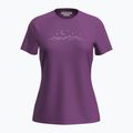 Moteriški žygio marškinėliai icebreaker Merino 150 Tech Lite SS Tee Sparkling Stars passion