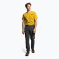 Vyriškos trekingo kelnės The North Face AO Woven grey NF0A5IMN0C51 2
