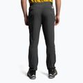 Vyriškos trekingo kelnės The North Face AO Woven grey NF0A5IMN0C51 4