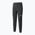 Vyriškos trekingo kelnės The North Face AO Woven grey NF0A5IMN0C51 7