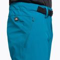 Vyriškos softshello kelnės The North Face Speedlight blue NF00A8SEM191 7
