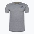 Vyriški marškinėliai Smartwool Wilderness Summit Graphic Tee trekkinginiai marškinėliai šviesiai pilki SW016673545 4