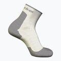 Moteriškos žygio kojinės icebreaker Merino Hike+ Light Mini ecru hthr/alloy 2