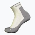 Moteriškos žygio kojinės icebreaker Merino Hike+ Light Mini ecru hthr/alloy 3