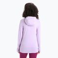 Icebreaker moteriška trekingo striukė Quantum III Zip Hood purple gaze 3