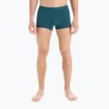 Vyriški terminiai boksininko šortai Icebreaker Anatomica Cool-Lite greenglory 4
