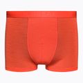 Vyriški termo šortai Icebreaker Anatomica Cool-Lite Red