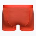 Vyriški termo šortai Icebreaker Anatomica Cool-Lite Red 2