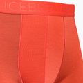 Vyriški termo šortai Icebreaker Anatomica Cool-Lite Red 3