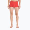 Vyriški termo šortai Icebreaker Anatomica Cool-Lite Red 4