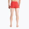 Vyriški termo šortai Icebreaker Anatomica Cool-Lite Red 5