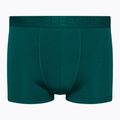 Vyriški terminiai boksininko šortai Icebreaker Anatomica Cool-Lite greenglory