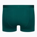 Vyriški terminiai boksininko šortai Icebreaker Anatomica Cool-Lite greenglory 2