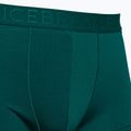Vyriški terminiai boksininko šortai Icebreaker Anatomica Cool-Lite greenglory 3