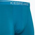 Vyriški terminiai boksininko šortai Icebreaker Anatomica geo blue 3